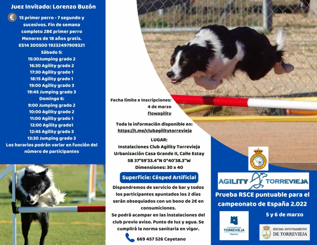 EL CLUB AGILITY TORREVIEJA SERÁ ANFITRIÓN DE UNA PRUEBA DE LA RSCE, PUNTUABLE PARA EL CAMPEONATO DE ESPAÑA.