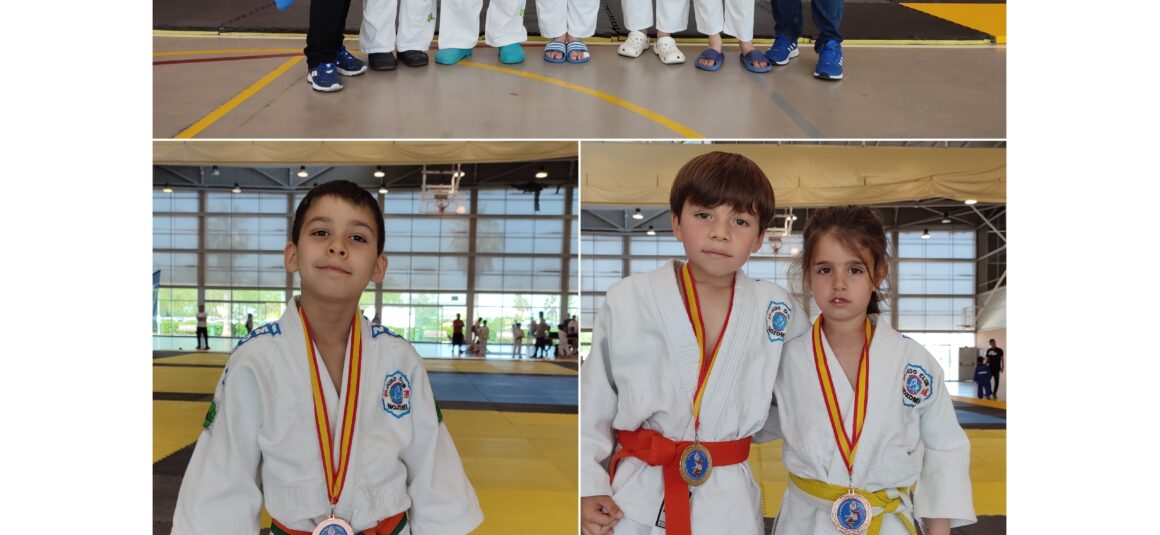 (Español) 🥇🥇🥈🥉🥉🥉 6 MEDALLAS PARA EL JUDO CLUB NOZOMI EN CATARROJA (VALENCIA)