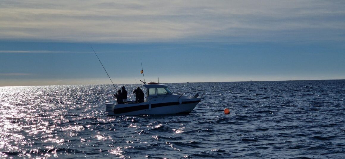 (Español) 🎣🏆GUZMÁN ANIORTE Y RAFAEL MESA REAFIRMAN SU LIDERAZGO EN LA LIGA DE CAMPEONES DE PESCA DEPORTIVA DEL RCN TORREVIEJA (Español) 🎣🏆GUZMÁN ANIORTE Y RAFAEL MESA REAFIRMAN SU LIDERAZGO EN LA LIGA DE CAMPEONES DE PESCA DEPORTIVA DEL RCN TORREVIEJA
